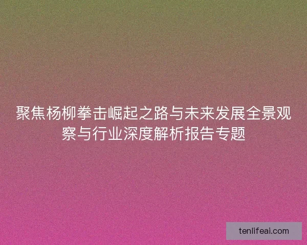 聚焦杨柳拳击崛起之路与未来发展全景观察与行业深度解析报告专题