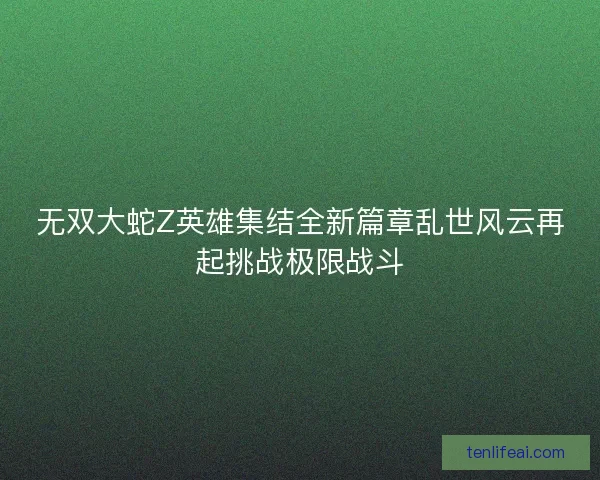 无双大蛇Z英雄集结全新篇章乱世风云再起挑战极限战斗 无双大蛇Z英雄集结全新篇章乱世风云再起挑战极限战斗